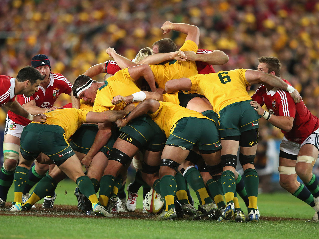 lions vs Australia Rugby